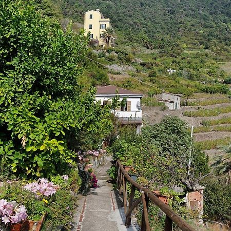 Villa Lardarina 克里日亚 外观 照片