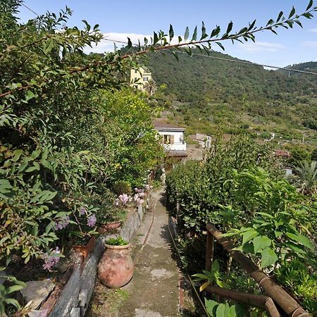 Villa Lardarina 克里日亚 外观 照片