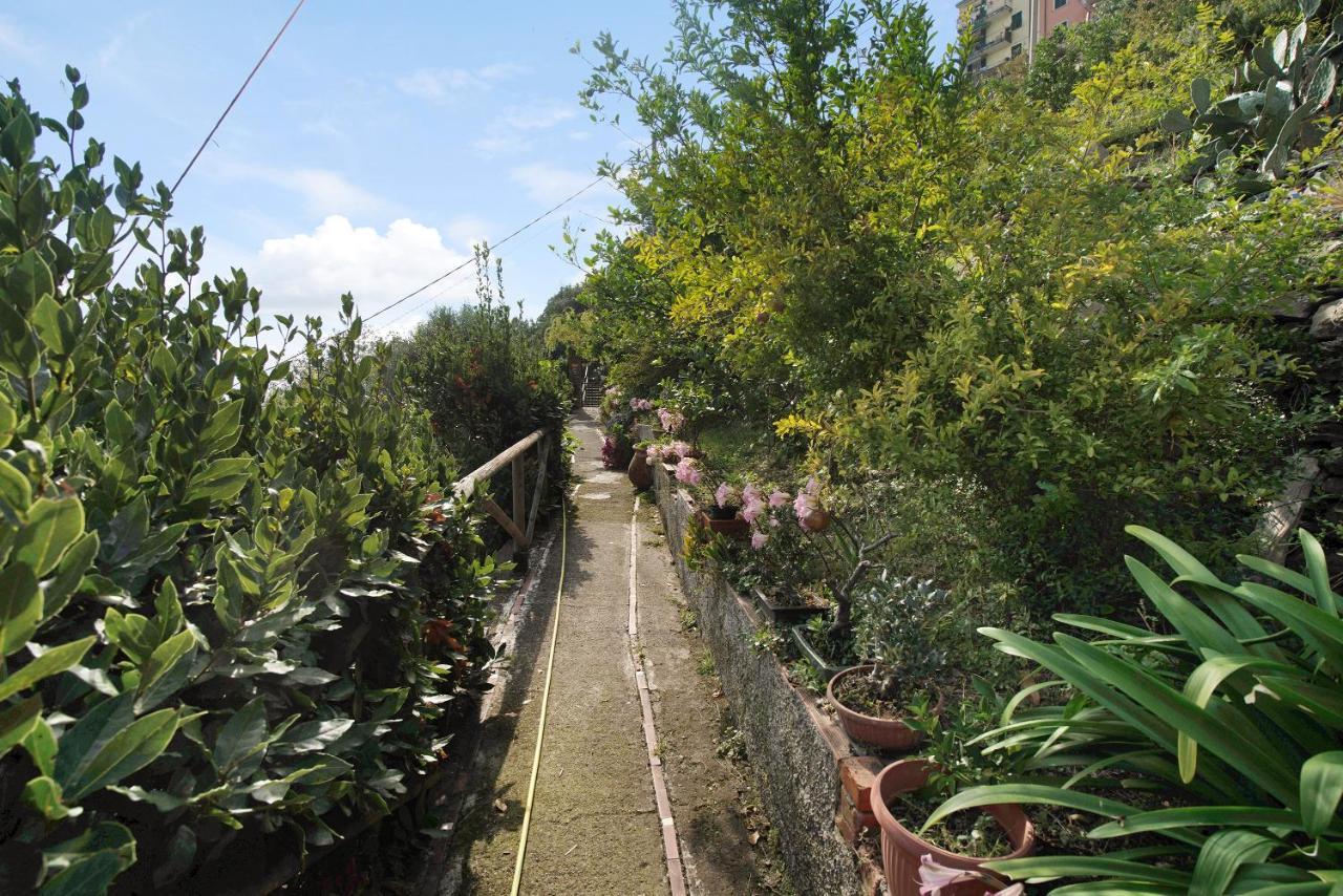 Villa Lardarina 克里日亚 外观 照片