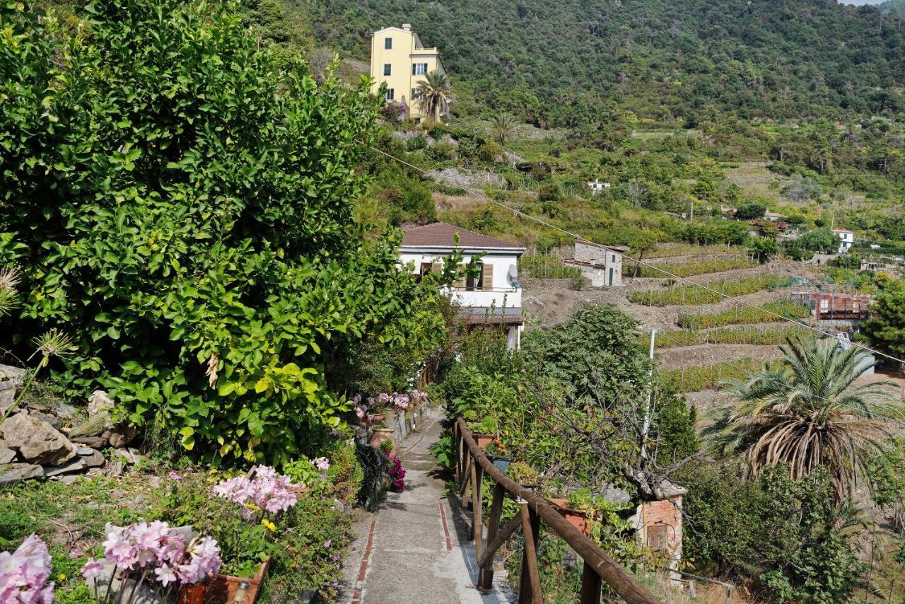 Villa Lardarina 克里日亚 外观 照片
