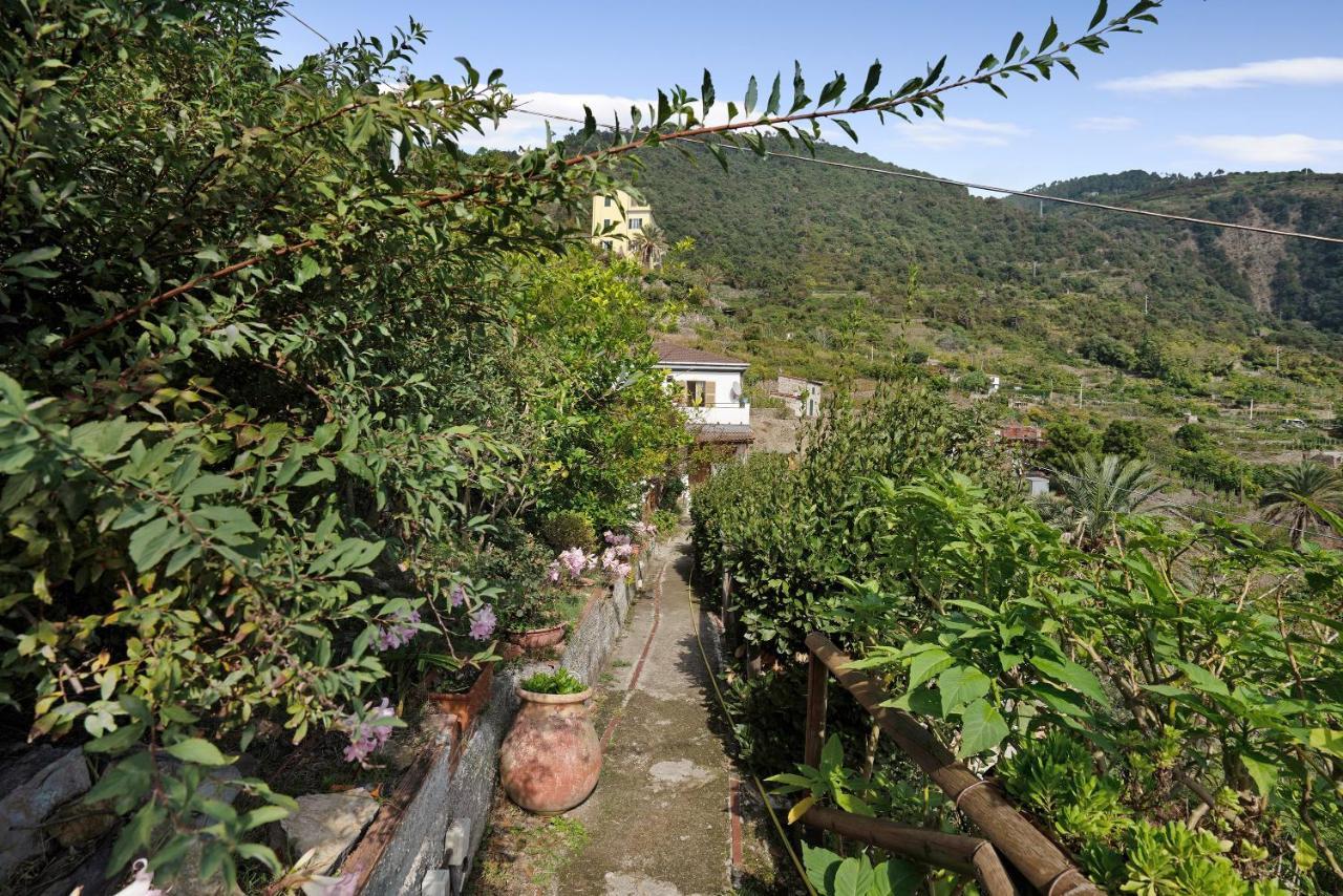 Villa Lardarina 克里日亚 外观 照片
